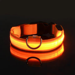 Hundehalsband aus Nylon mit LED-Beleuchtung für mehr Sicherheit bei Nacht, leuchtet im Dunkeln in Orange
